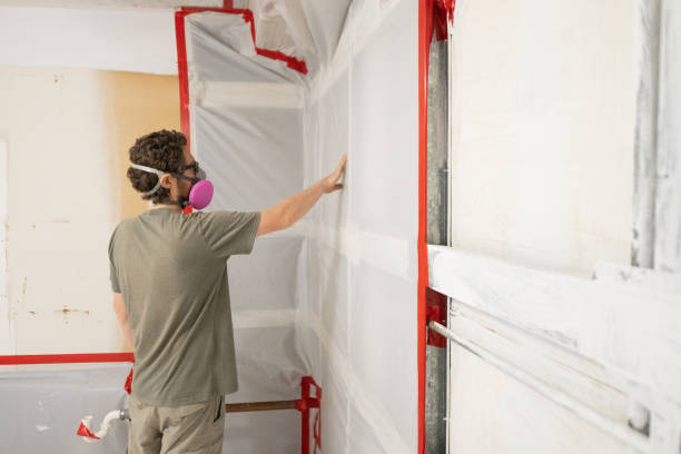 Mold Remediation for Vacation Homes in Elizabeth City, NC